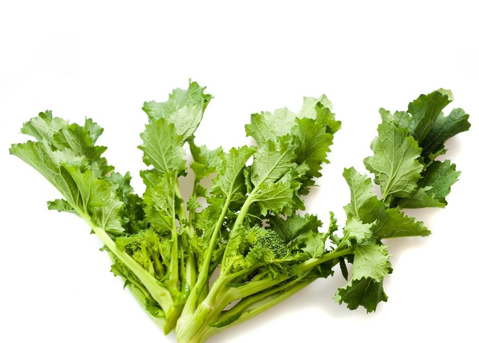 Glorious Green Gumbo Integrative Family Medicine of Asheville