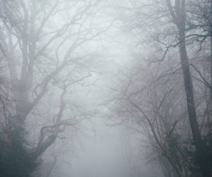 Brain Fog: Are You Feeling Like A Zombie? By Tom Everts PA-C, IFMCP